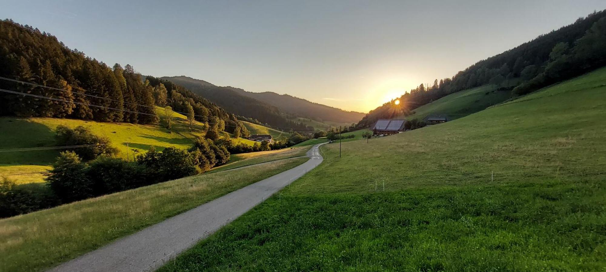 Irgendwo Im Schwarzwald Lejlighed Elzach Eksteriør billede